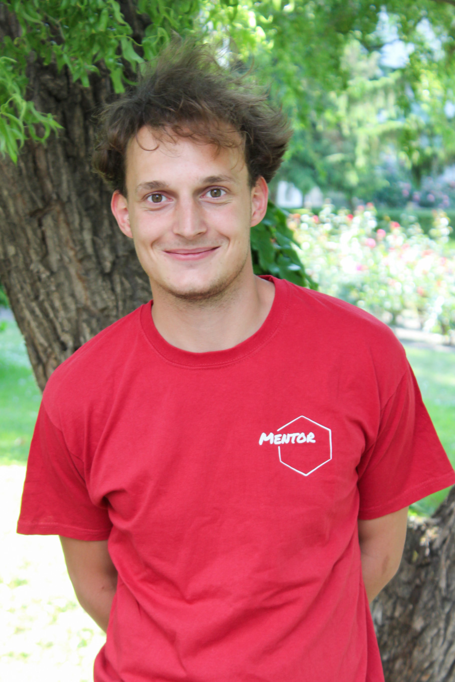 Dávid