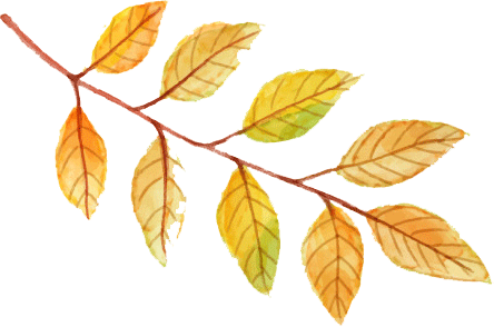 leaf_0000_Layer-2