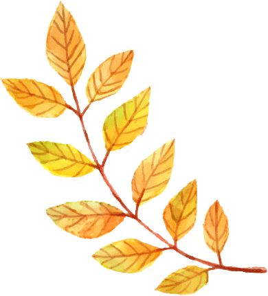leaf_0001_Layer-3