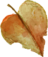 leaf_0002_Layer-4