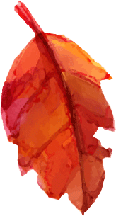 leaf_0004_Layer-6