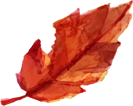 leaf_0005_Layer-7