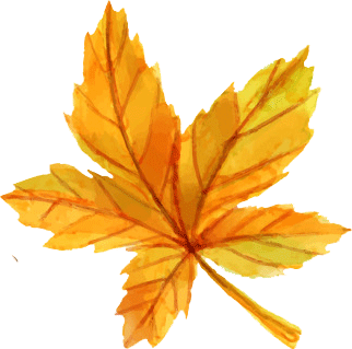 leaf_0006_Layer-1